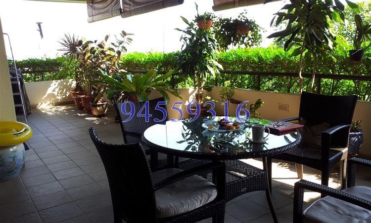 The Arcadia (D11), Condominium #138962492